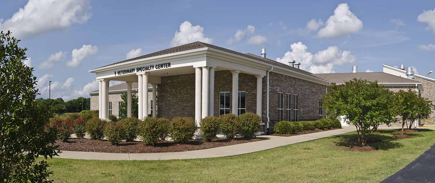 Veterinary Specialty Center | Vet Med